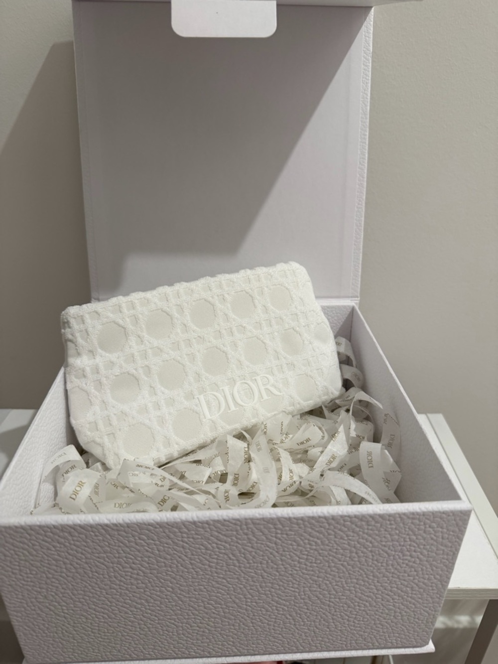 Dior White Embroidered Pouch with Signature Motif